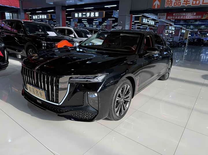 Hongqi H9 2024 2.0T Qixiang Private Fashion Edition