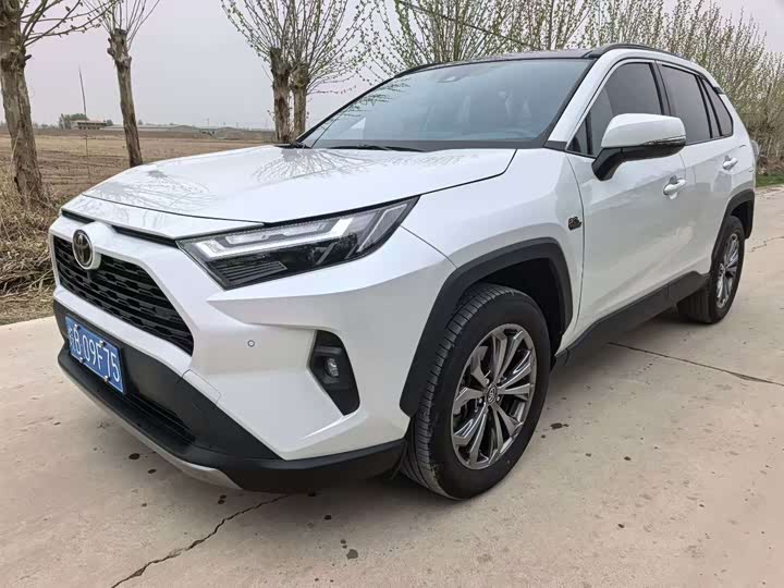 RAV4 Rongfang 2023 2.0L CVT two-wheel drive 20th anniversary platinum commemorative edition
