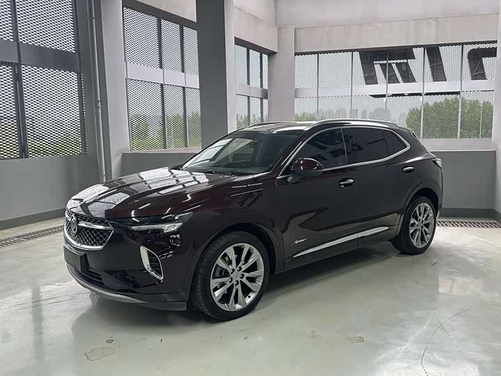 Envision S 2020 Envision S 652T four-wheel drive Avenir