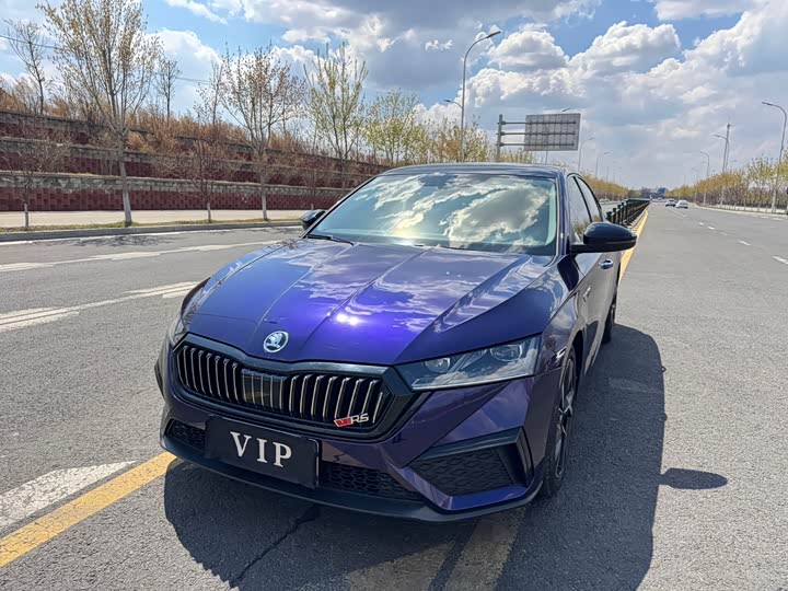 Mercedes-Benz E-Class 2024 E 300 L Fashion Model