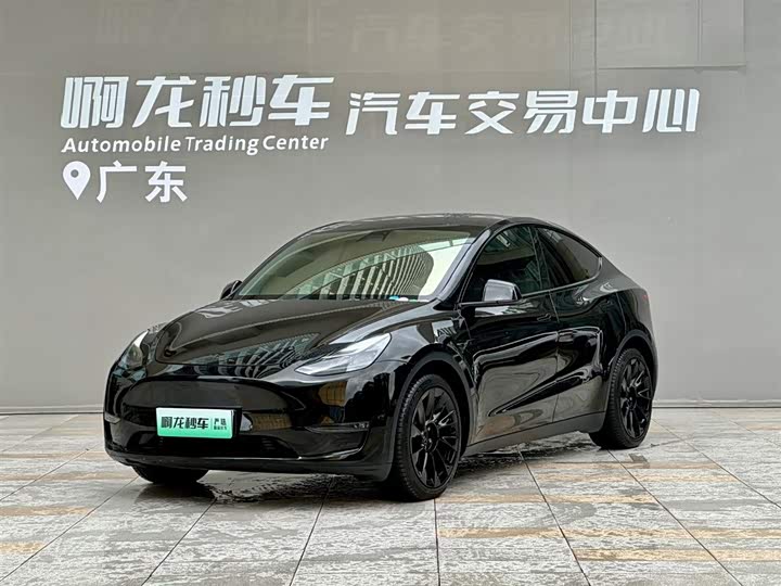 Model Y 2021 long-range all-wheel drive version 3D7