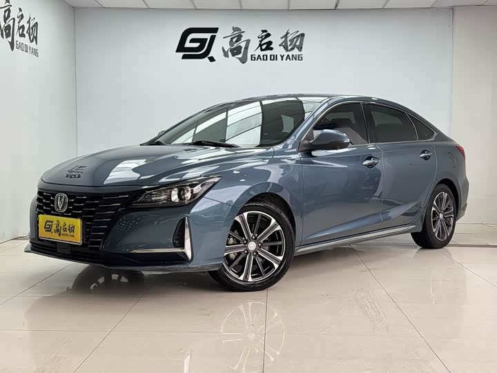 Crown Lufang 2021 2.5L HEV four-wheel drive luxury version