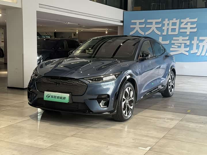 Ford Electric Horse 2021 Borderless Rear-Drive Deluxe Edition (Long Range)