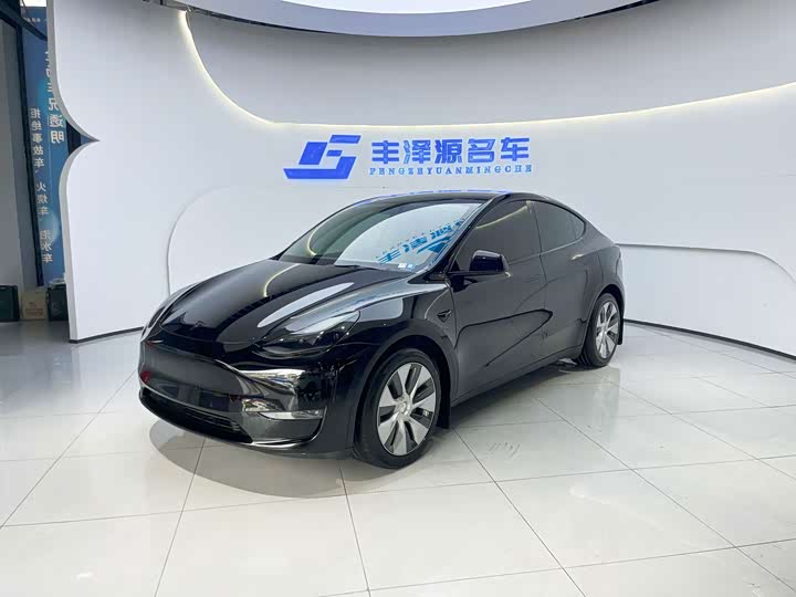 Model Y 2021 standard range rear-wheel drive version