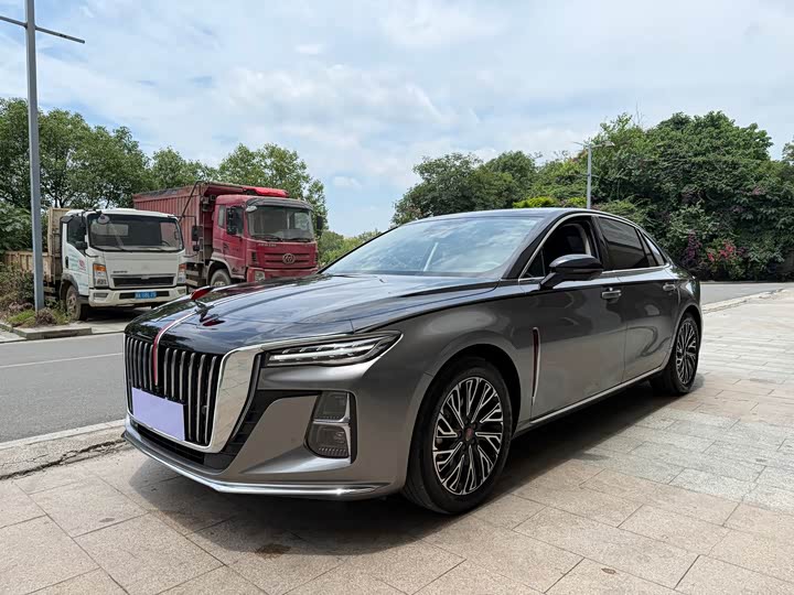 Hongqi H5 2024 2.0T Automatic Zhilianqichang Edition