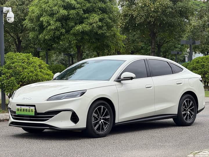Seal 06 2024 DM-i 80KM Premium Type