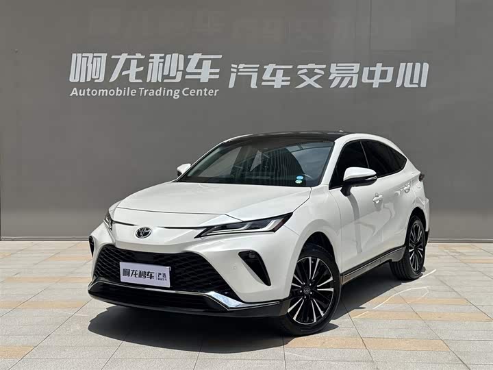 Vesa 2022 2.0L CVT two-wheel drive premium version