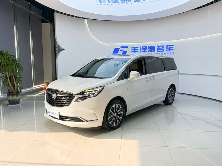 Buick GL8 2020 ES Land Business 653T Flagship Edition