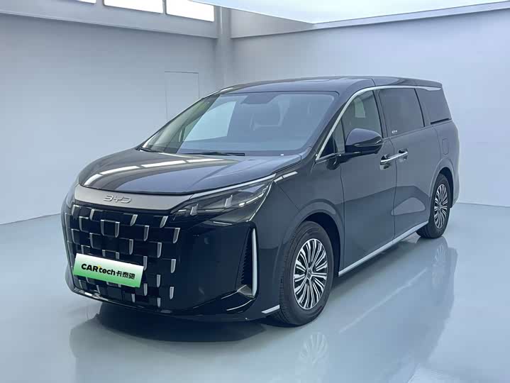 BYD M9 2025 1060 Pilot Edition