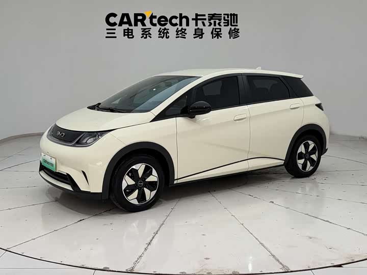 Dolphin 2024 Honor Edition 420km Free Edition