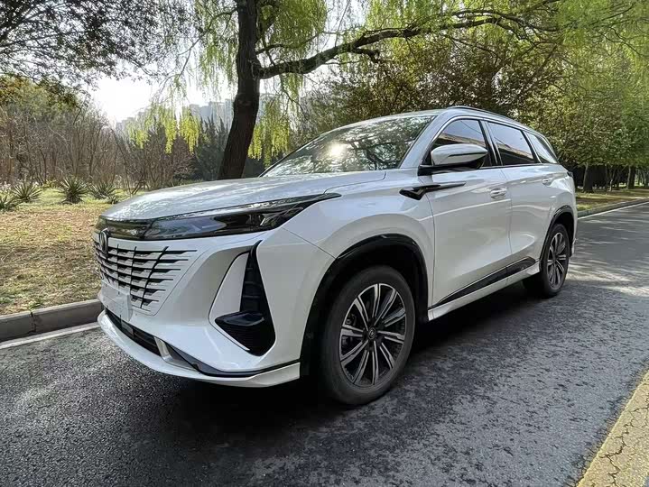 Hongqi E-HS9 2022 model 660km Qichang version six seats