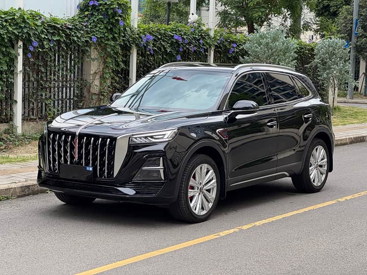 Hongqi HS5 2025 2.0T four-wheel drive Qixiang Pro version
