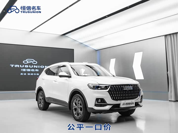 Haval H6 2021 Guochao Edition 1.5T Automatic Urban Edition