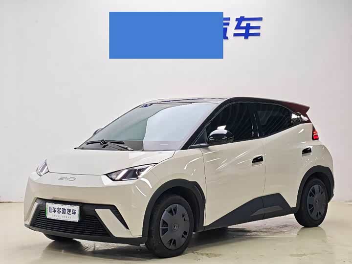 Seagull 2024 Honor Edition 305km Vitality Edition