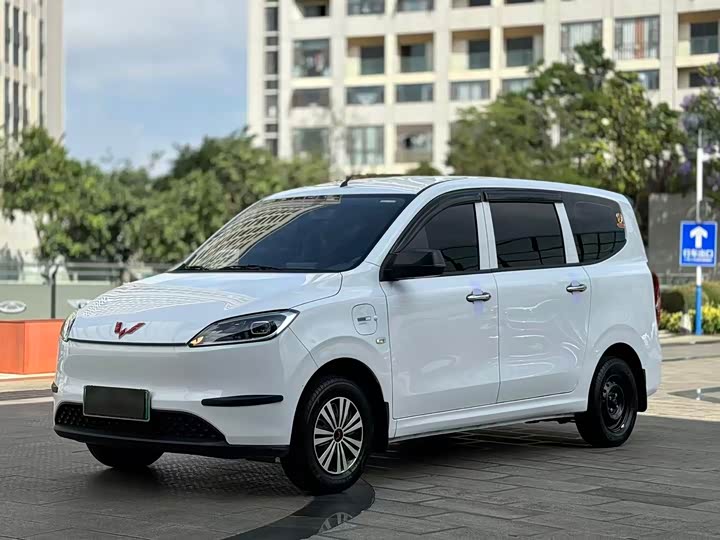 Wuling Hongguang New Energy 2024 Pure Electric Version 300KM Standard Type