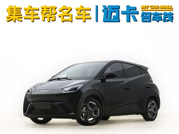 Seagull 2024 Honor Edition 305km Free Edition