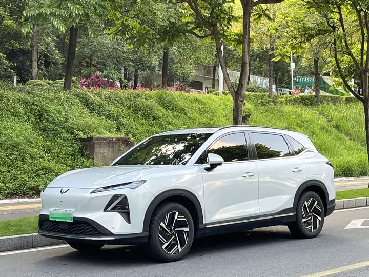 Wuling Starlight S 2024 510km pilot model