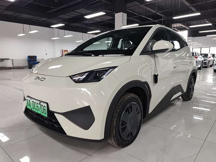Seagull 2025 305km active version