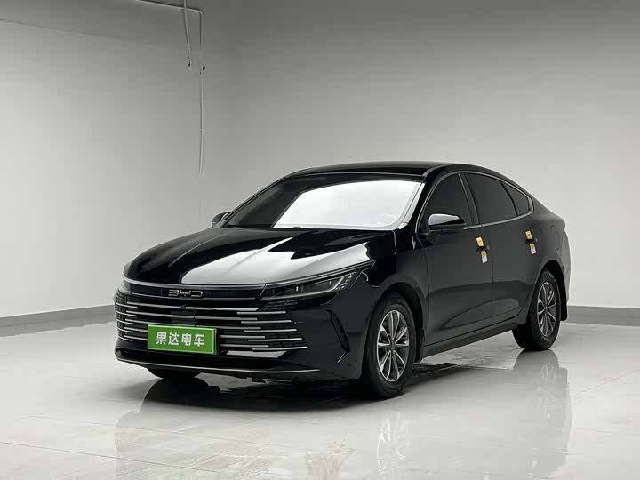 Destroyer 05 2024 Honor Edition DM-i 55KM Luxury Type