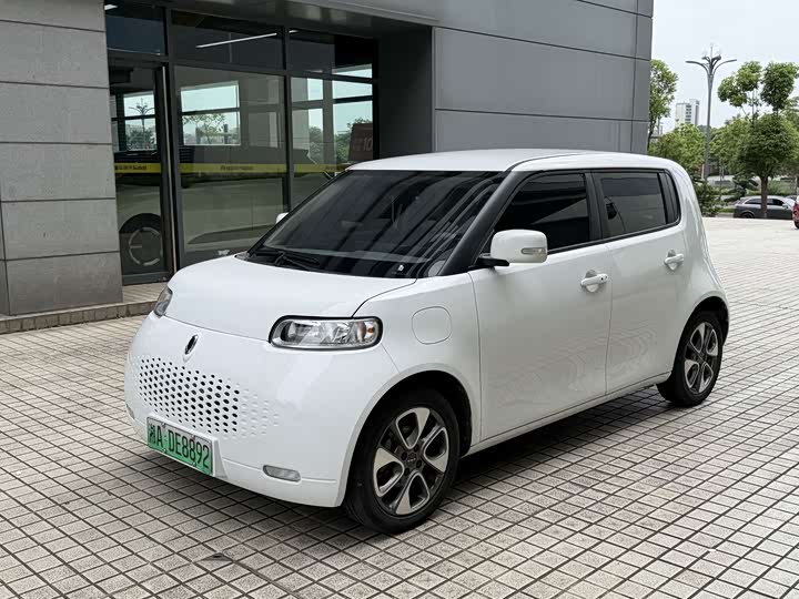 Euler White Cat 2020 305km luxury model