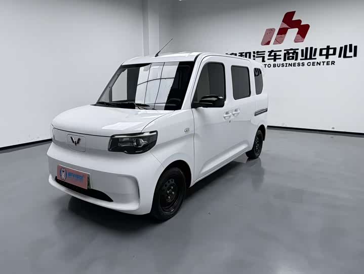 Wuling Zhiguang EV 2025 201km Standard Edition
