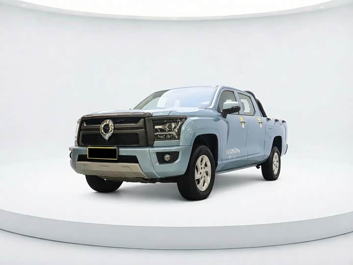 GWM Poer King Kong 2024 2.0T Diesel 8AT 2WD Pilot Flatbed