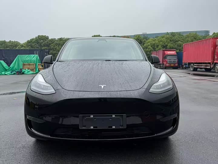 Model Y 2021 standard range rear-wheel drive version