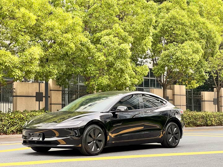Model 3 2025 facelift rear-wheel drive version