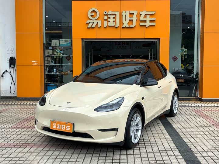 Model Y 2021 standard range rear-wheel drive version