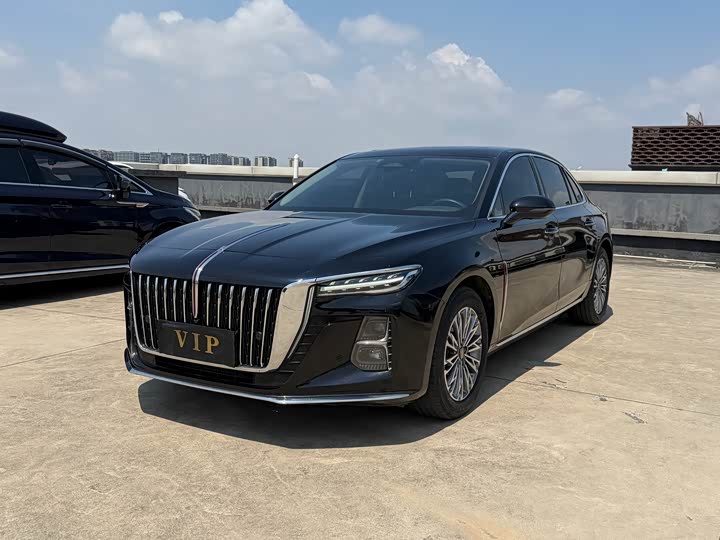 Hongqi H5 2023 2.0T Automatic Zhilianqichang Edition