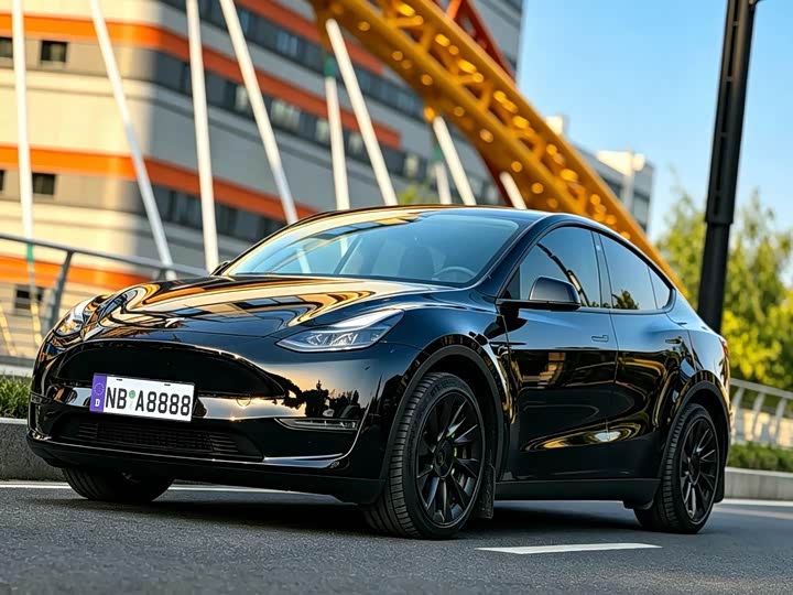 Model Y 2021 standard range rear-wheel drive version