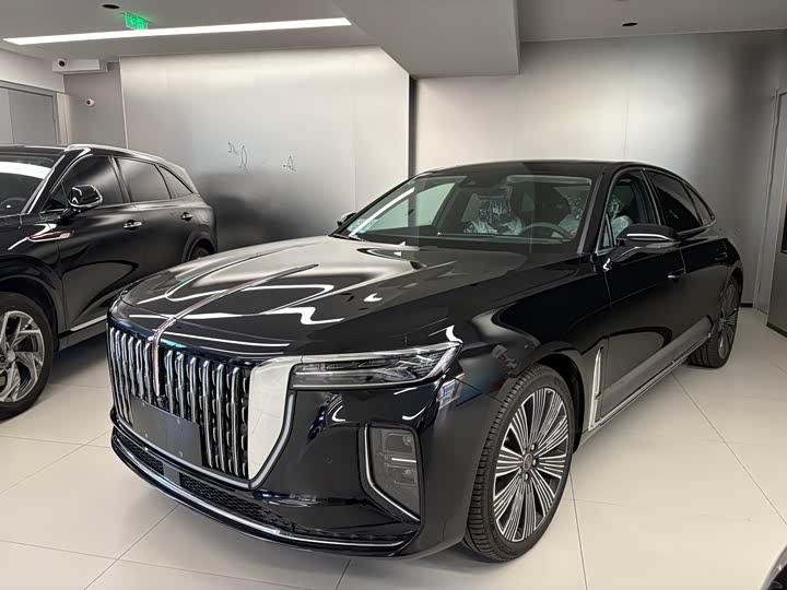 Hongqi H9 2025 2.0T two-wheel drive Qixiang luxury business version 5 seats