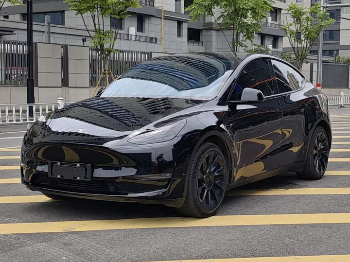 Model Y 2021 standard range rear-wheel drive version