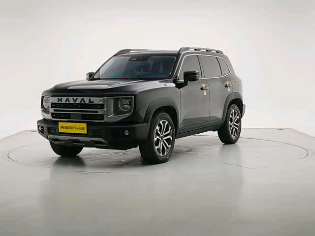 Haval Big Dog 2024 1.5T DCT Border Collie Edition