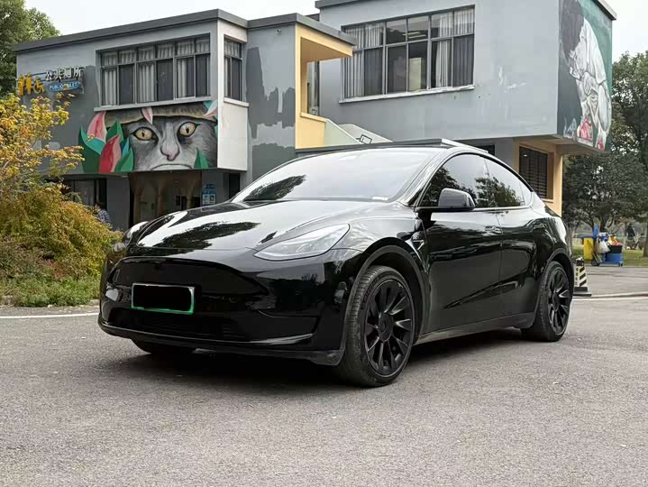 Model Y 2023 rear-wheel drive version