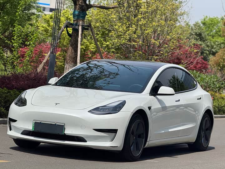 Model 3 2021 Standard Range Rear Drive Upgraded Version
