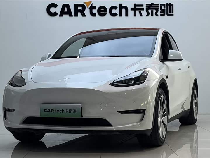 Model Y 2021 standard range rear-wheel drive version