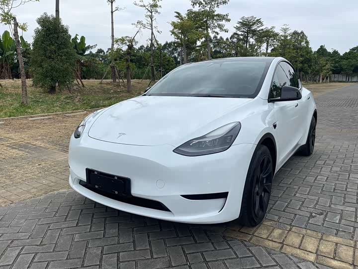 Model Y 2022 rear-wheel drive version