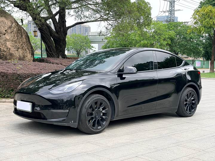 Model Y 2021 standard range rear-wheel drive version