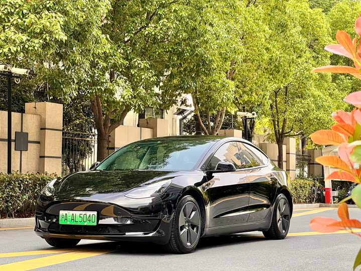 Model 3 2022 rear-wheel drive version
