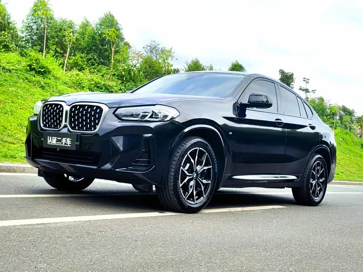BMW X4 2022 xDrive25i M Sport Package