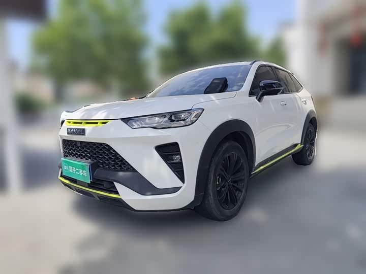 Haval H6S 2022 2.0T two-wheel drive smart running version