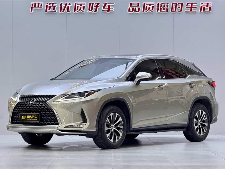 Lexus RX 2020 300 two-wheel drive comfort version National VI