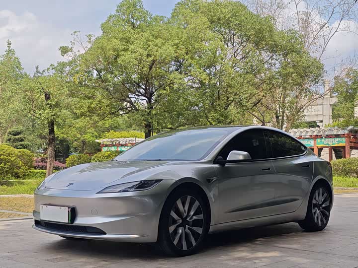 Model 3 2025 rear-wheel drive version