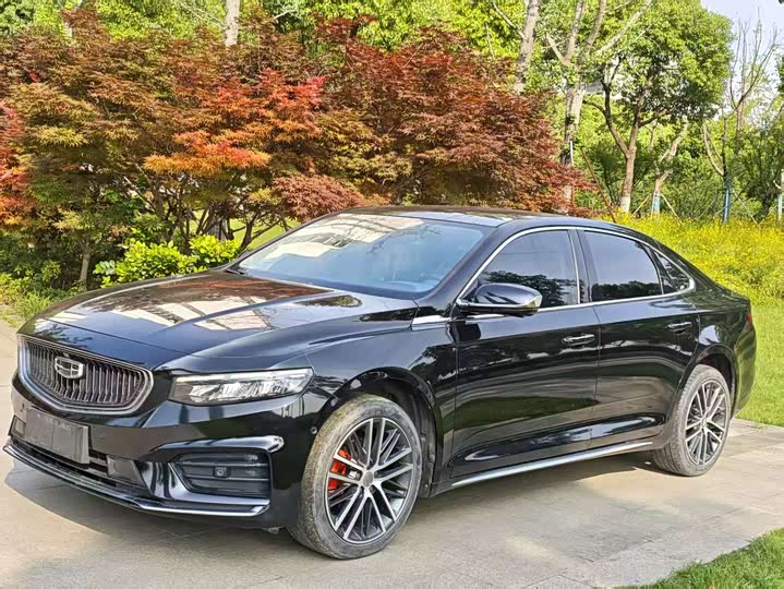 Xingrui 2021 2.0TD luxury model