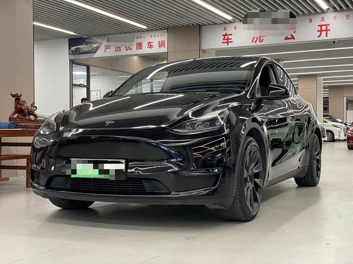 Model Y 2021 standard range rear-wheel drive version