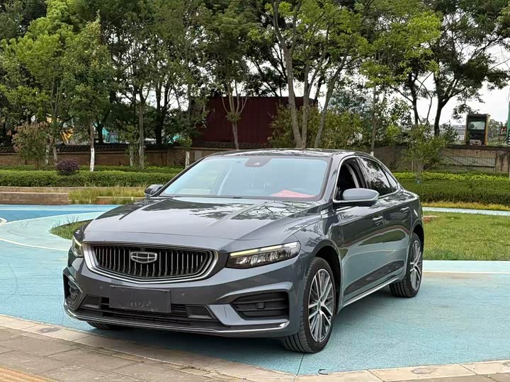 Xingrui 2021 2.0TD luxury model