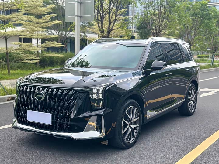 Trumpchi GS8 2022 Dual Engine Series 2.0TM Two-wheel drive Premium Edition (seven seats)
