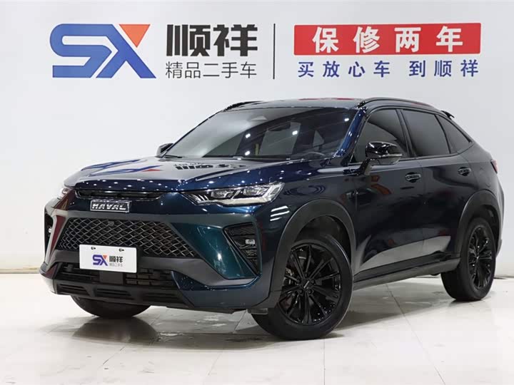 Haval H6S 2022 2.0T two-wheel drive smart running version