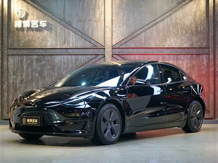 Model 3 2022 rear-wheel drive version
